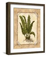 Fern 3-Robin Betterley-Framed Giclee Print