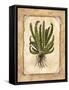 Fern 4-Robin Betterley-Framed Stretched Canvas