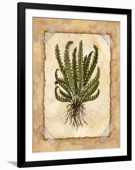 Fern 4-Robin Betterley-Framed Giclee Print