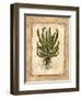 Fern 4-Robin Betterley-Framed Giclee Print