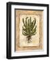 Fern 4-Robin Betterley-Framed Giclee Print