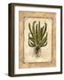 Fern 4-Robin Betterley-Framed Giclee Print