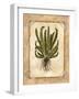 Fern 4-Robin Betterley-Framed Giclee Print