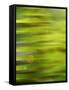 Fern Abstract-Savanah Stewart-Framed Stretched Canvas