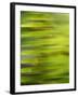 Fern Abstract-Savanah Stewart-Framed Photographic Print