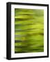 Fern Abstract-Savanah Stewart-Framed Photographic Print