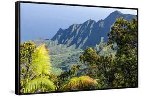 Fern at Overlook of Kalalau Valley, Napali Coast State Park Kauai, Hawaii-Michael DeFreitas-Framed Stretched Canvas