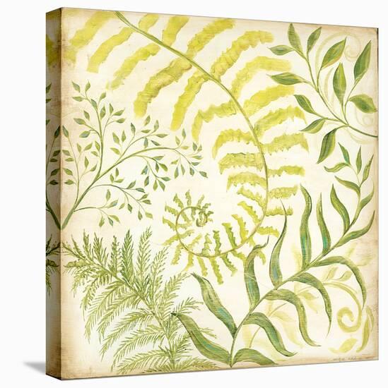 Fern Botanical I-Kate McRostie-Stretched Canvas