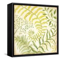 Fern Botanical I-Kate McRostie-Framed Stretched Canvas