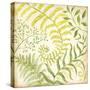 Fern Botanical I-Kate McRostie-Stretched Canvas