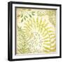 Fern Botanical II-Kate McRostie-Framed Art Print