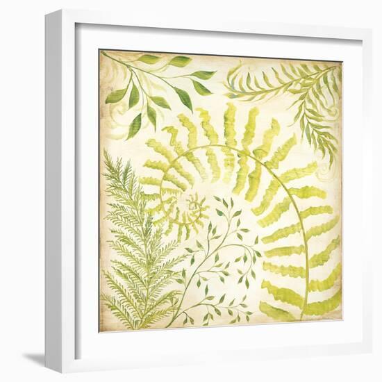 Fern Botanical II-Kate McRostie-Framed Art Print