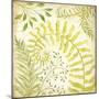 Fern Botanical II-Kate McRostie-Mounted Art Print