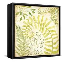 Fern Botanical II-Kate McRostie-Framed Stretched Canvas