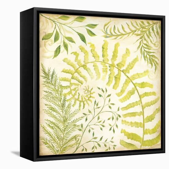 Fern Botanical II-Kate McRostie-Framed Stretched Canvas