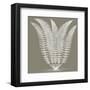 Fern (Burlap & Ivory)-Botanical Series-Framed Art Print