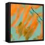 Fern Dance 1-Judy Stalus-Framed Stretched Canvas