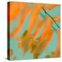 Fern Dance 1-Judy Stalus-Stretched Canvas