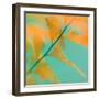 Fern Dance 2-Judy Stalus-Framed Photographic Print