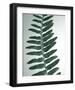 Fern Detail I-Boyce Watt-Framed Giclee Print