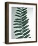 Fern Detail I-Boyce Watt-Framed Giclee Print