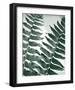 Fern Detail II-Boyce Watt-Framed Giclee Print