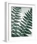 Fern Detail II-Boyce Watt-Framed Giclee Print