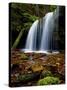 Fern Falls, Coeur D'Alene National Forest, Idaho Panhandle National Forests, Idaho, United States o-James Hager-Stretched Canvas