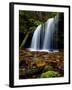 Fern Falls, Coeur D'Alene National Forest, Idaho Panhandle National Forests, Idaho, United States o-James Hager-Framed Photographic Print