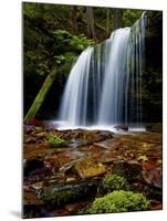 Fern Falls, Coeur D'Alene National Forest, Idaho Panhandle National Forests, Idaho, United States o-James Hager-Mounted Photographic Print