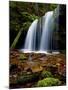 Fern Falls, Coeur D'Alene National Forest, Idaho Panhandle National Forests, Idaho, United States o-James Hager-Mounted Photographic Print