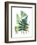 Fern Fantasy Garden I-Alicia Ludwig-Framed Art Print