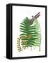 Fern Fantasy Garden II-Alicia Ludwig-Framed Stretched Canvas