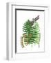 Fern Fantasy Garden II-Alicia Ludwig-Framed Art Print