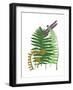 Fern Fantasy Garden II-Alicia Ludwig-Framed Art Print