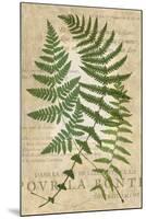 Fern Folio I-Vision Studio-Mounted Art Print