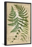 Fern Folio I-Vision Studio-Framed Art Print