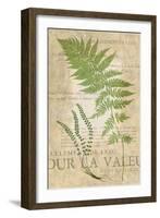 Fern Folio II-Vision Studio-Framed Art Print