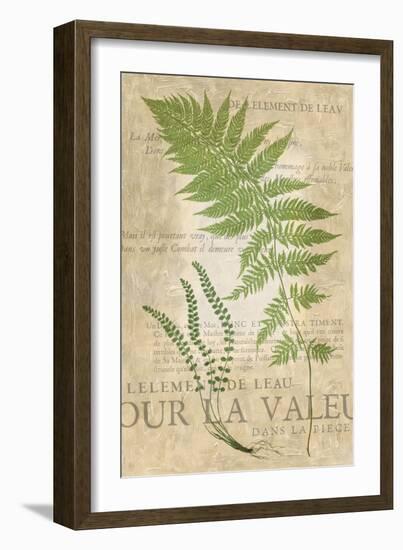 Fern Folio II-Vision Studio-Framed Art Print