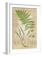 Fern Folio II-Vision Studio-Framed Art Print