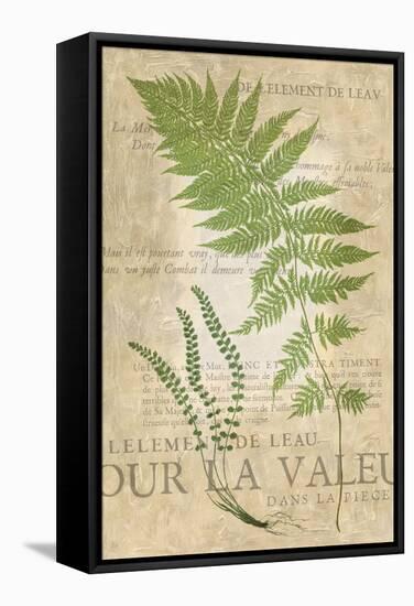 Fern Folio II-Vision Studio-Framed Stretched Canvas