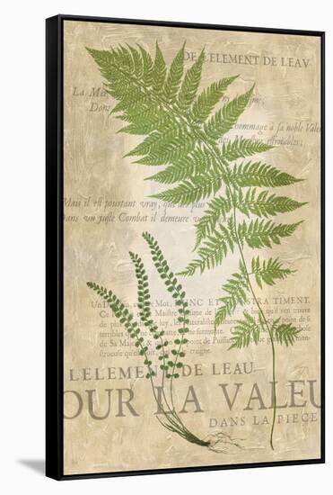 Fern Folio II-Vision Studio-Framed Stretched Canvas