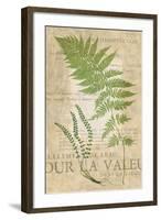 Fern Folio II-Vision Studio-Framed Art Print