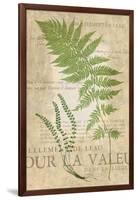 Fern Folio II-Vision Studio-Framed Art Print