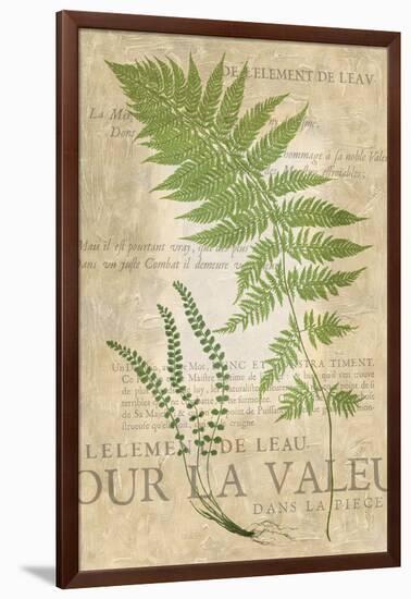 Fern Folio II-Vision Studio-Framed Art Print