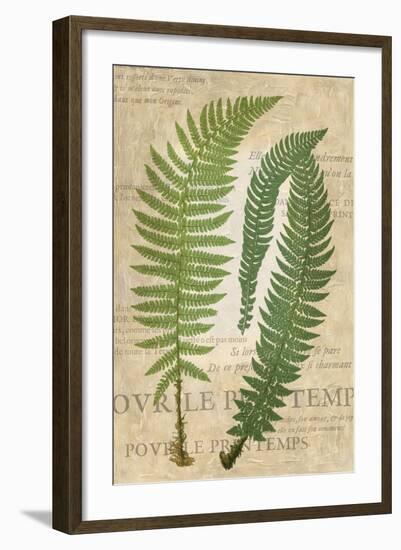 Fern Folio III-Vision Studio-Framed Art Print