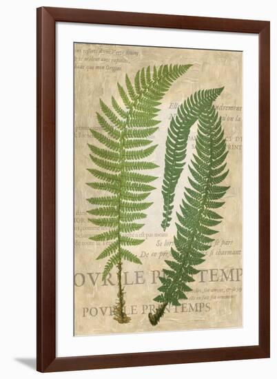 Fern Folio III-Vision Studio-Framed Art Print