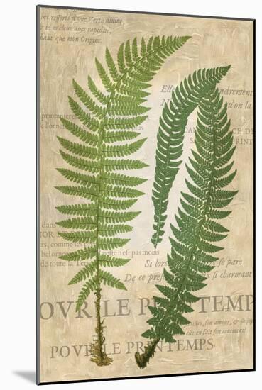 Fern Folio III-Vision Studio-Mounted Art Print