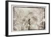 Fern Forest, Guatemala-Theo Westenberger-Framed Photographic Print