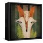 Fern Fox-Ryan Fowler-Framed Stretched Canvas